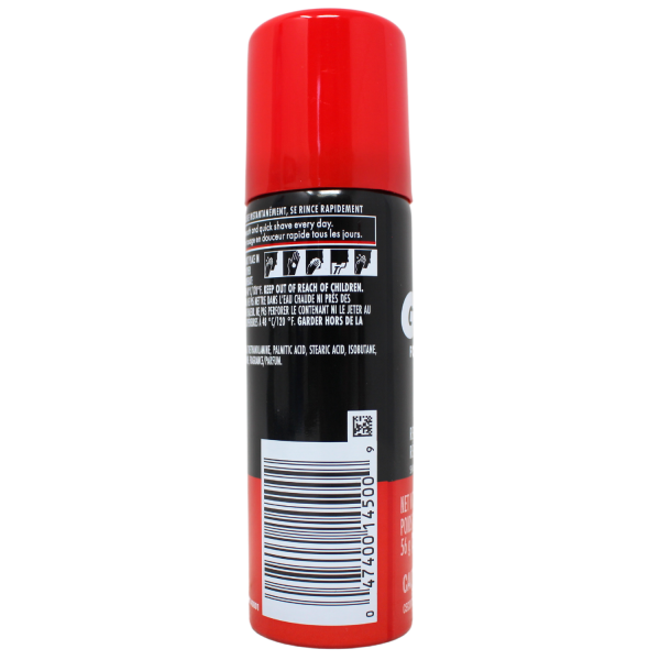 GILLETTE FOAMY Regular - Rich Lather for a Comfortable Shave