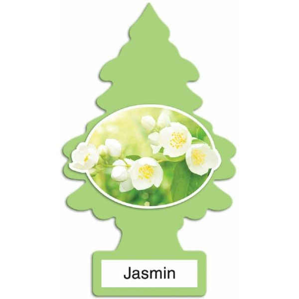 LITTLE TREES JASMINE (B) - Creative & Detailed