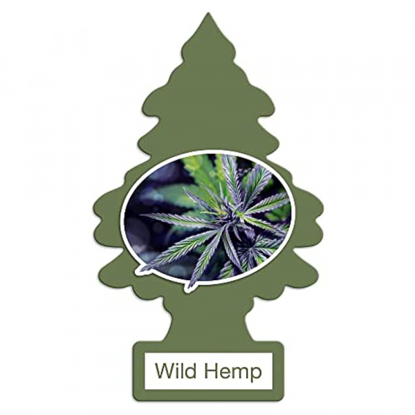 LITTLE TREES Wild Hemp Air Freshener - Creative & Detailed Description