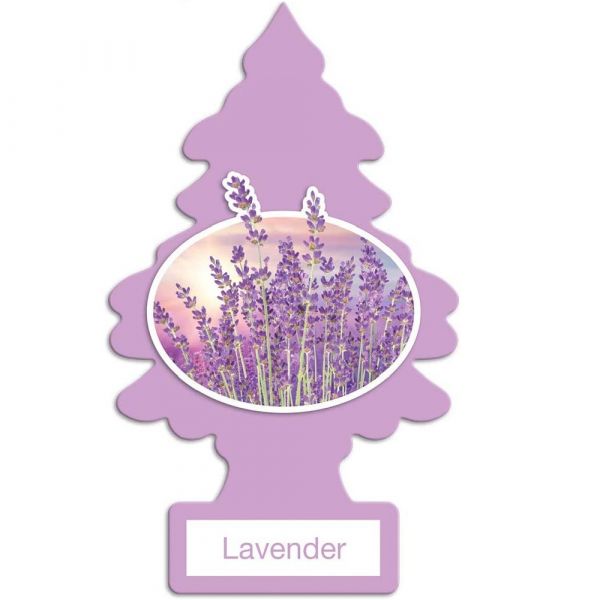 LITTLE TREES LAVENDER (B) /24X6 - Creative & Detailed