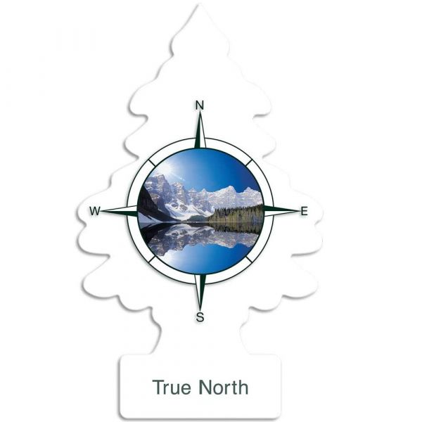 LITTLE TREES True North Air Freshener - Long-Lasting Car Scent
