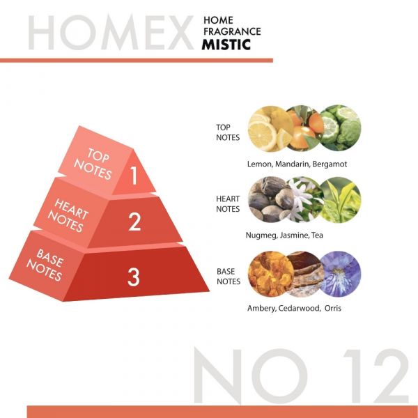 HOMEX A/F 300ML MISTIC
