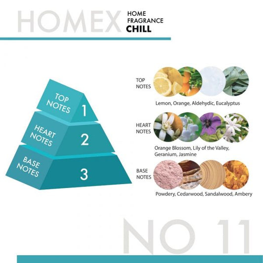 HOMEX A/F 300ML CHILL #11/*24