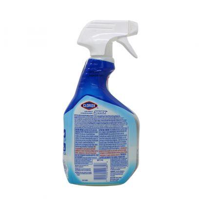 Clorox Mold & Mildew Disinfectant Spray - 709mL